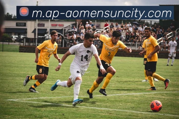 澳门太阳城平台生态图